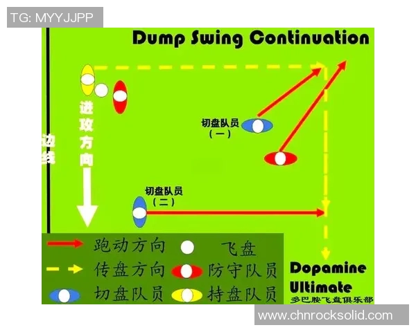 深入分析上海飞盘队的战术布局与控制打法的独特魅力
